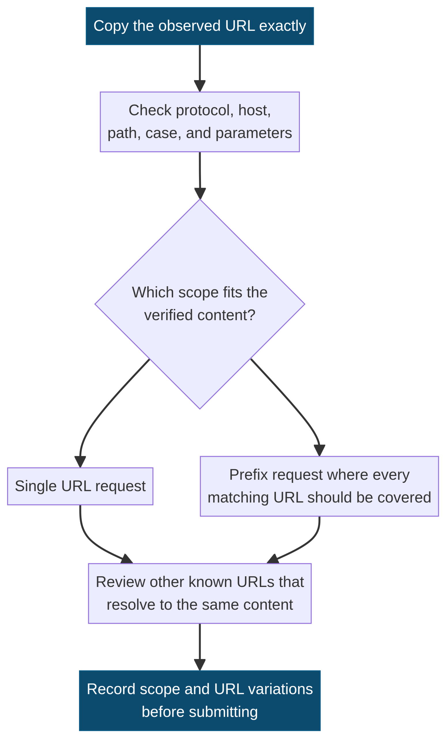 Vertical workflow for verifying an exact URL, examining protocol, host, path, case and parameters, choosing a single URL or prefix scope, reviewing variants and recording scope.